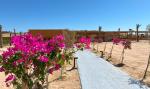 Weg zum Beachrestaurant